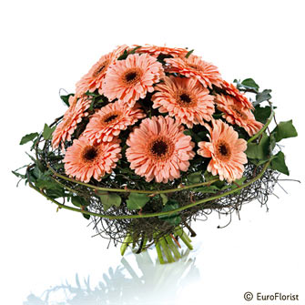 Faire livrer des fleurs Cécile  Faire livrer des fleurs Cécile