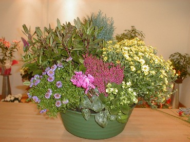 Livraison fleurs deuil - Coupe de plantes D  Livraison fleurs deuil - Coupe de plantes D