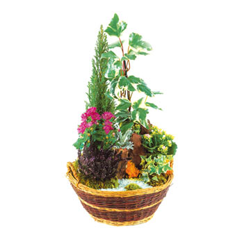 Livraison fleurs deuil - Coupe de plantes B  Livraison fleurs deuil - Coupe de plantes B