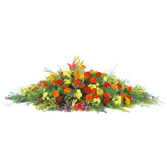 Coussin, raquette de fleurs coupées C  Coussin, raquette de fleurs coupées C