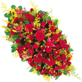 Coussin, raquette de fleurs coupées D  Coussin, raquette de fleurs coupées D