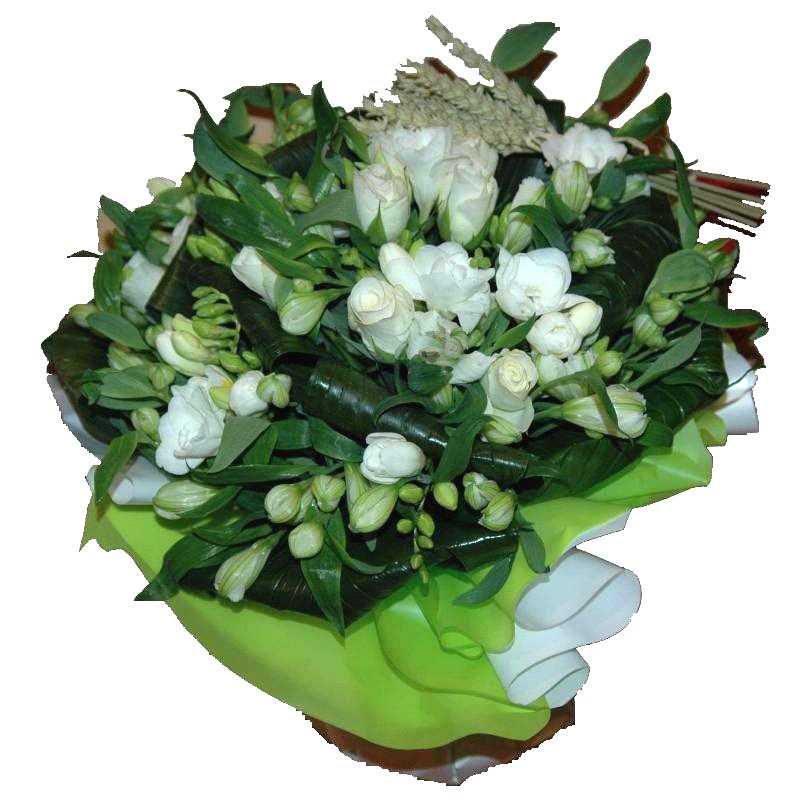 Livraison fleurs - Célia  Livraison fleurs - Célia