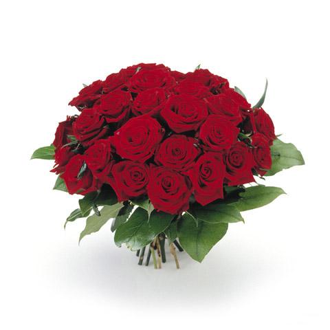 Bouquet de fleurs roses rouges  Bouquet de fleurs roses rouges