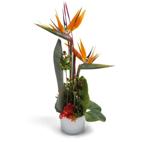 Livraison composition de fleurs