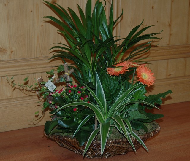 Livraison composition de plantes - "S�te"